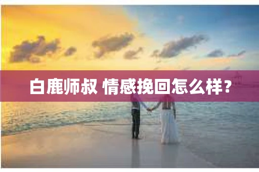 白鹿师叔 情感挽回怎么样？