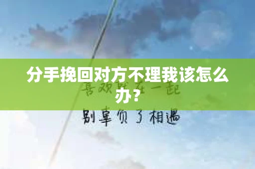 分手挽回对方不理我该怎么办？