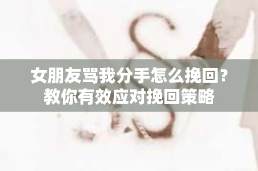 女朋友骂我分手怎么挽回？教你有效应对挽回策略