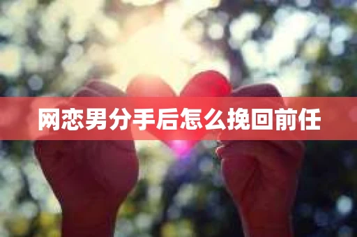 网恋男分手后怎么挽回前任