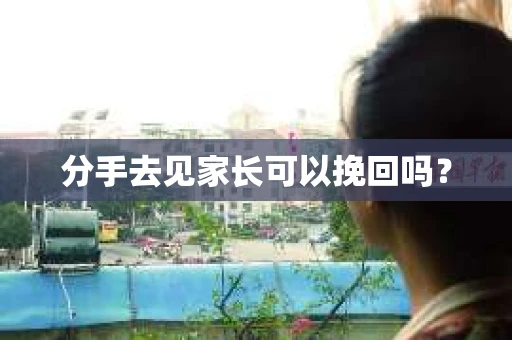 分手去见家长可以挽回吗？