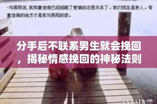 分手后不联系男生就会挽回，揭秘情感挽回的神秘法则
