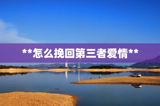 **怎么挽回第三者爱情**