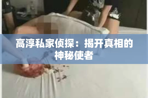 高淳私家侦探：揭开真相的神秘使者