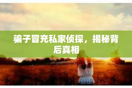 骗子冒充私家侦探，揭秘背后真相