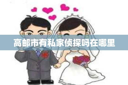 高邮市有私家侦探吗在哪里