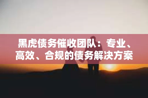 黑虎债务催收团队：专业、高效、合规的债务解决方案