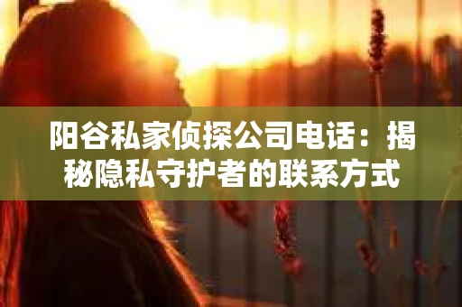 阳谷私家侦探公司电话：揭秘隐私守护者的联系方式