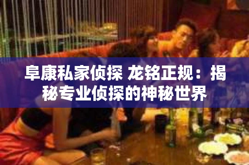 阜康私家侦探 龙铭正规：揭秘专业侦探的神秘世界