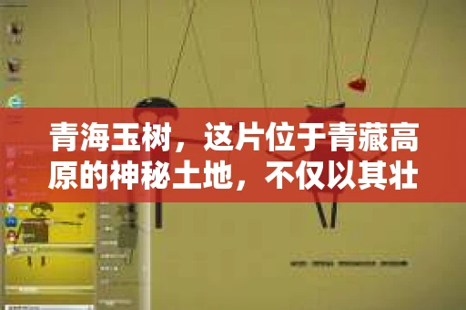 青海玉树，这片位于青藏高原的神秘土地，不仅以其壮丽的自然风光著称，还承载着丰富的历史与文化。然而，近期有关“青海玉树是哪里的催收”的问题引起了广泛关注。今天，我们就来聊聊这个话题，揭开青海玉树的催收之谜。