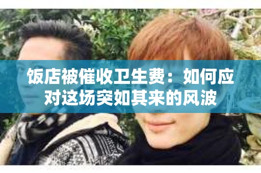 饭店被催收卫生费：如何应对这场突如其来的风波