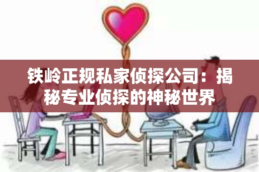 铁岭正规私家侦探公司：揭秘专业侦探的神秘世界