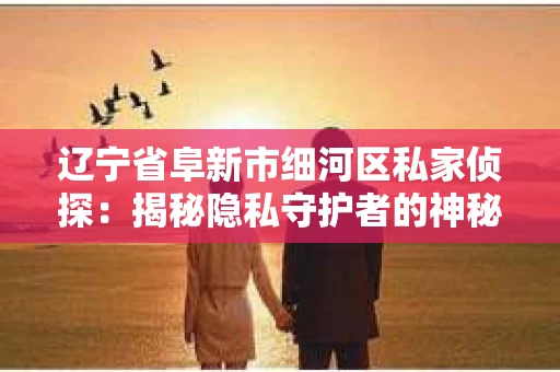 辽宁省阜新市细河区私家侦探：揭秘隐私守护者的神秘世界