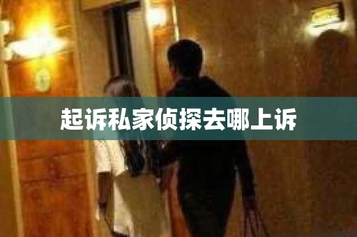 起诉私家侦探去哪上诉