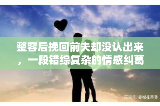 整容后挽回前夫却没认出来，一段错综复杂的情感纠葛