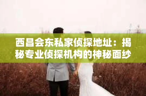 西昌会东私家侦探地址：揭秘专业侦探机构的神秘面纱