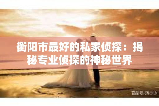 衡阳市最好的私家侦探：揭秘专业侦探的神秘世界