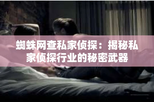 蜘蛛网查私家侦探：揭秘私家侦探行业的秘密武器