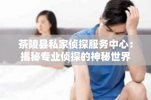 茶陵县私家侦探服务中心：揭秘专业侦探的神秘世界