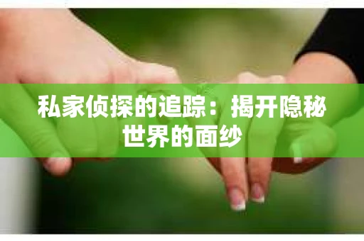 私家侦探的追踪：揭开隐秘世界的面纱