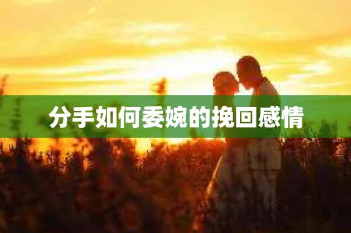分手如何委婉的挽回感情